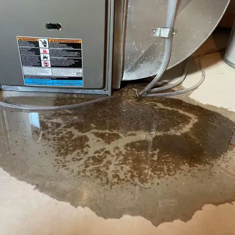 Appliance Leak Cleanup in Broadway, NC